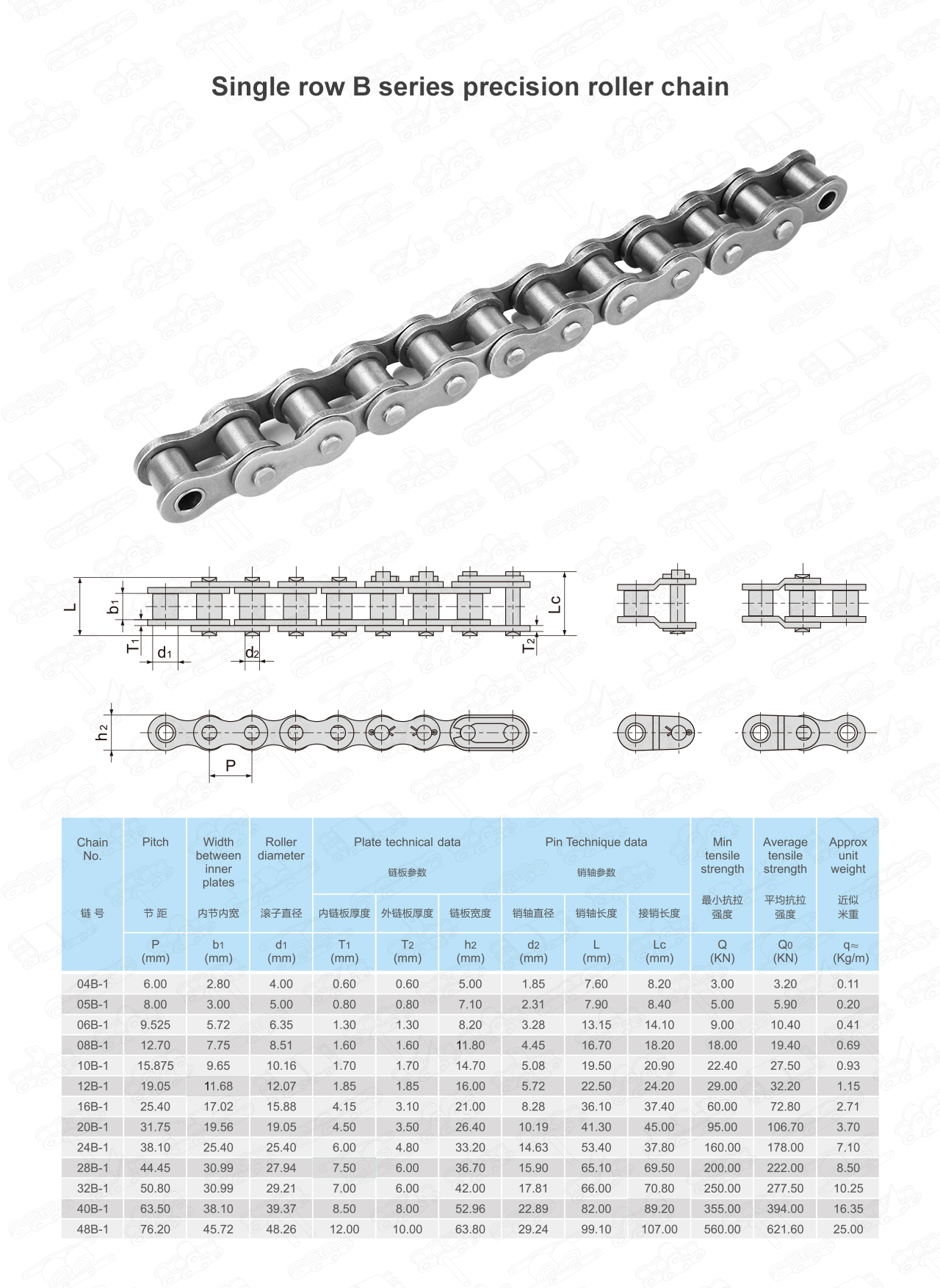 rollerchainB_01