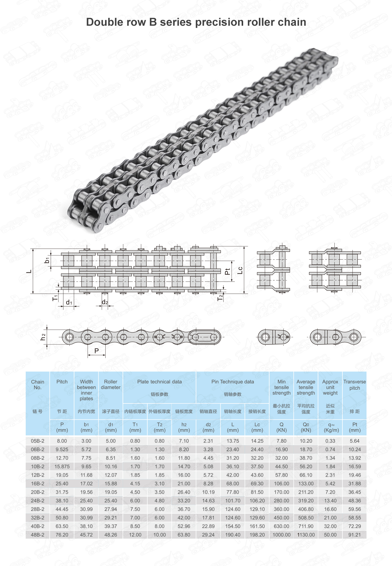 rollerchainB_02