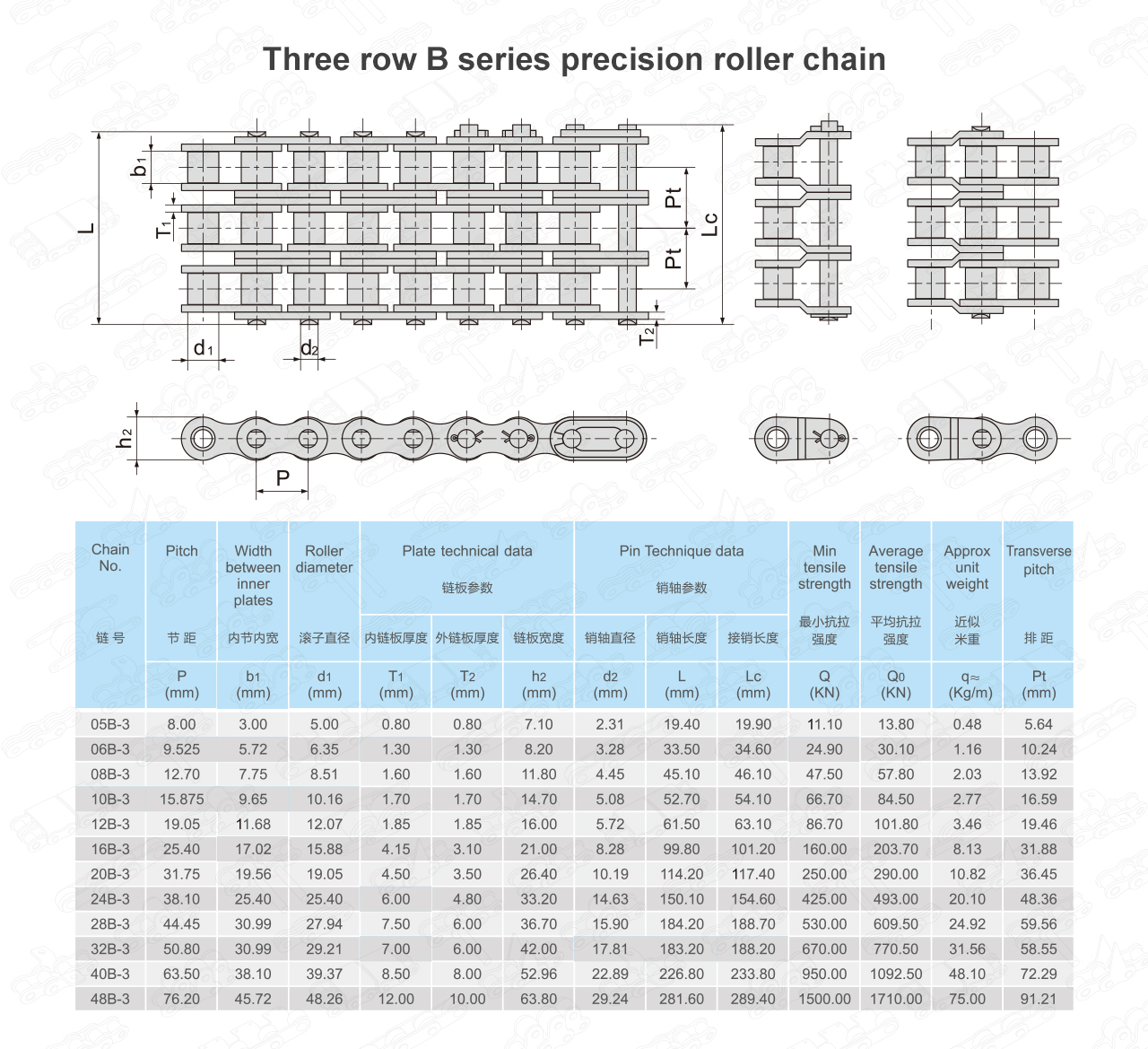 rollerchainB_03